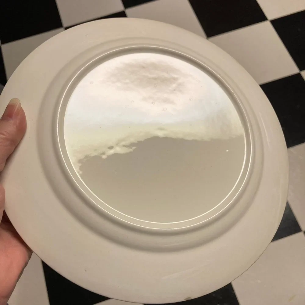 Vintage Dinner Plates (2) 9 Inches with Pink & Blue Flowers / Roses